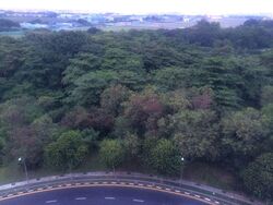 Premier @ Kaki Bukit (D14), Factory #576618921